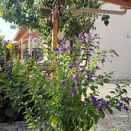 Geyikli Sahilde 1+1 Bahce Kati A1 Hotel